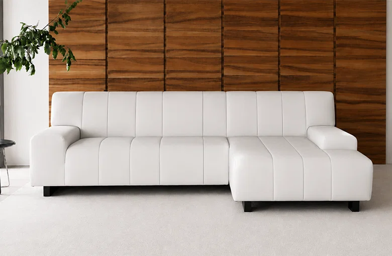 Nicoline Zara Sectional with Chaise