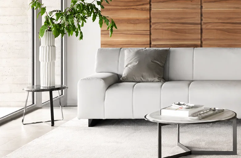 Nicoline Zara Sectional with Chaise